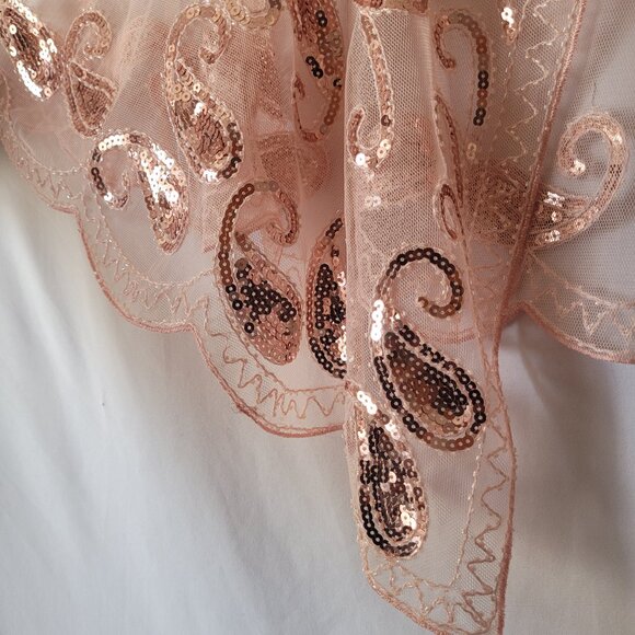 1920s Semi Sheer Sequin Beaded Evening Cape Size OS - Picture 3 of 11